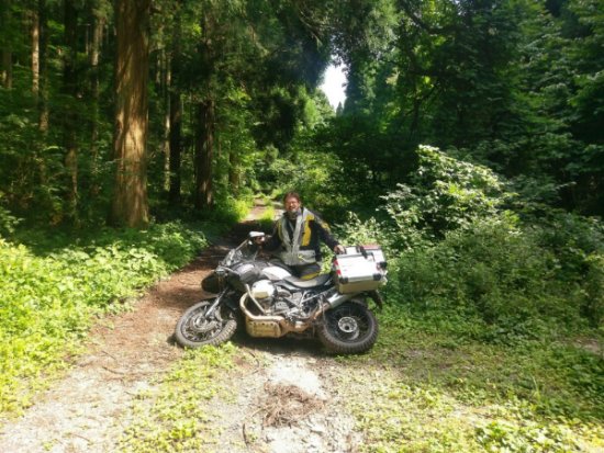 Marco Facci BMW Motorradreise Wald