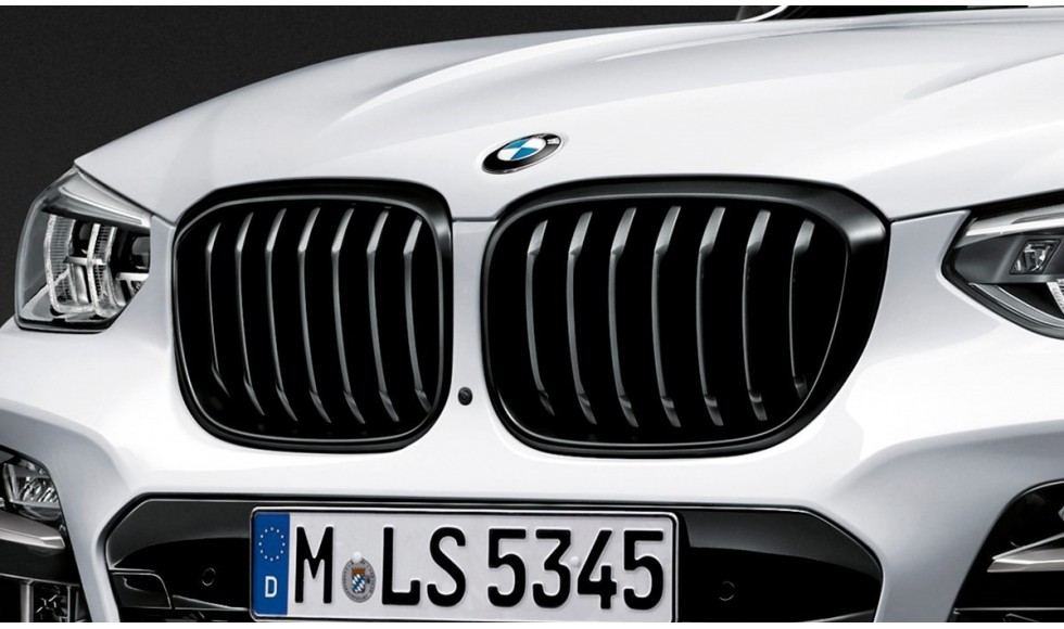 BMW M Performance Frontziergitter X3 G01