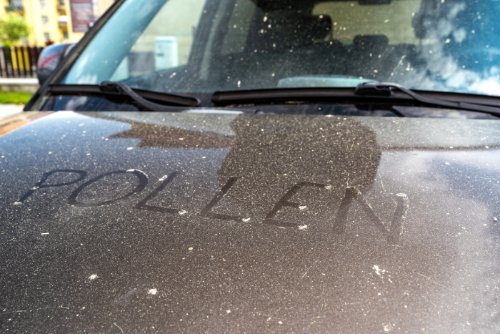 Pollen im und am Auto: Wie schädlich ist das fürs Fahrzeug?